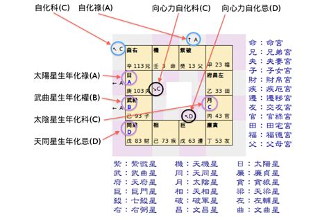 免費紫微命盤解說|線上免費紫微斗數命盤，輸入資料，立即排盤